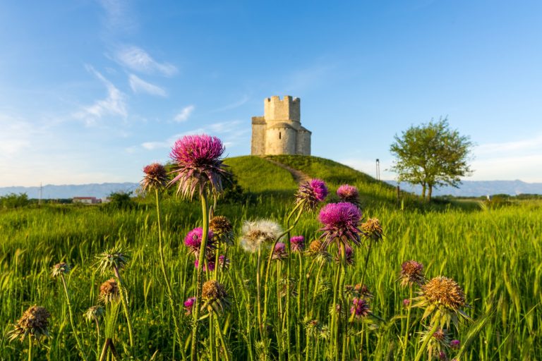 Tour cultural di Zadar, Nin e Pag